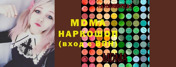 индика Дмитров