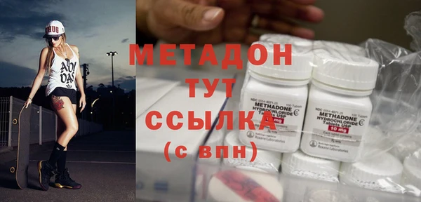 индика Дмитров