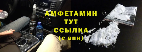 индика Дмитров