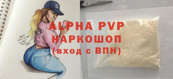индика Дмитров