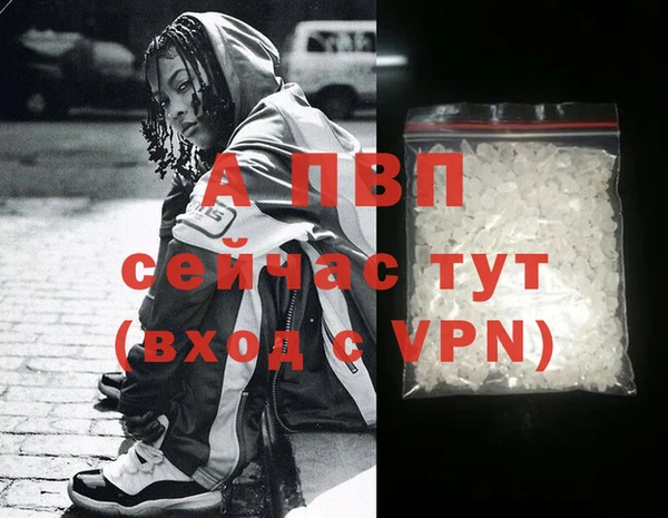 индика Дмитров
