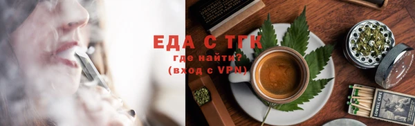 индика Дмитров