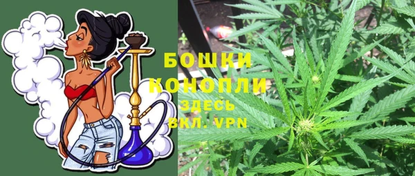 индика Дмитров