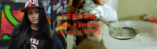 индика Дмитров