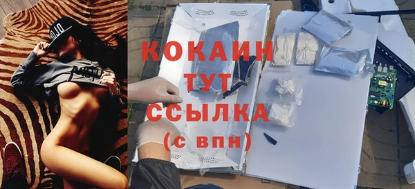 мескалин Дмитриев