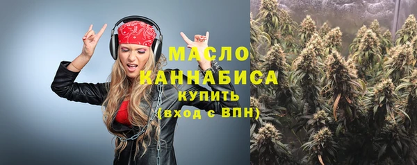 индика Дмитров