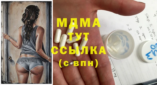индика Дмитров