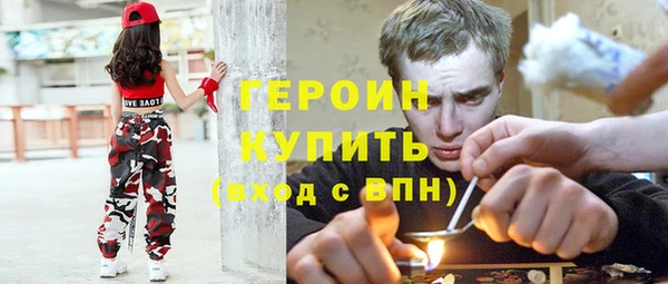 индика Дмитров