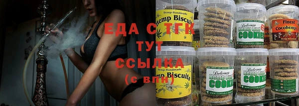 индика Дмитров