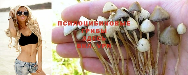 спайс Дмитровск