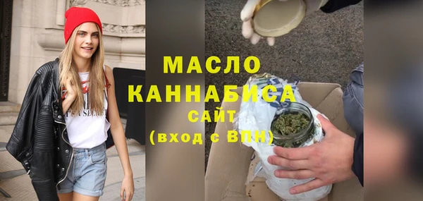 индика Дмитров